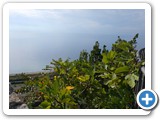DSCF0916
