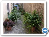 DSCF0925